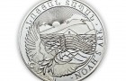 Arche Noah 1 Oz - Silver Coin