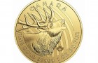 Elk 2017 1 Oz - Gold Coin