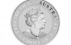 Kangaroo 1 Oz - Stříbrná mince - 25 ks