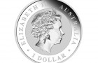 Kookaburra 2016 1 Oz - Stříbrná mince