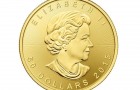 Maple Leaf 1 Oz - Zlatá mince - 10 ks