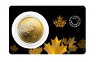 Moose 2019 1 Oz - Gold Coin