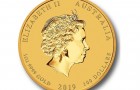 Pig 2019 1 Oz - Gold Coin